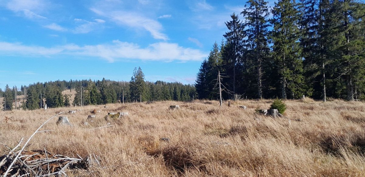 U křížku (1110 m)