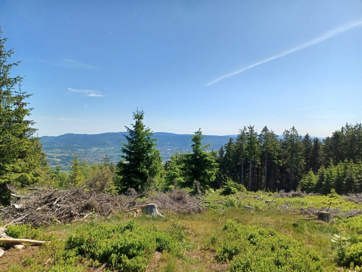 Rozsocha (767 m)