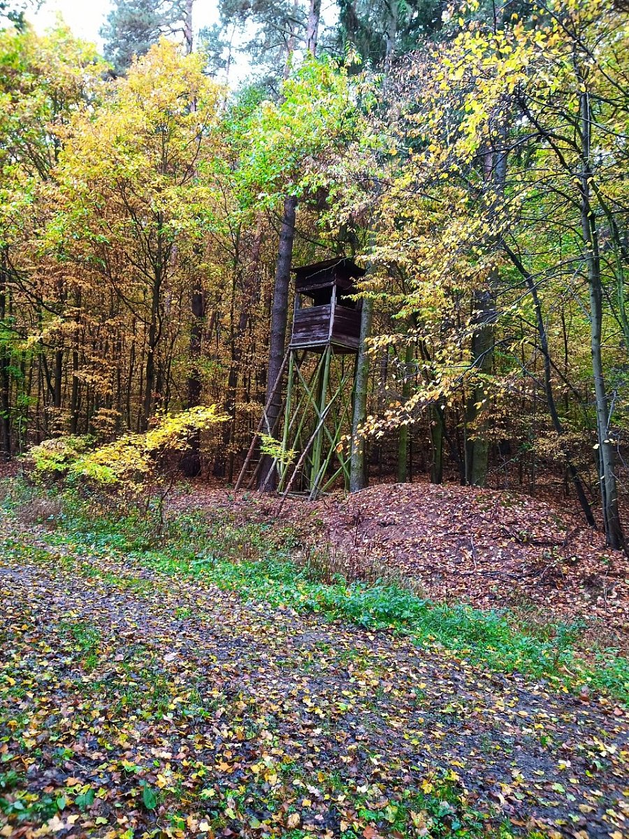 Obecní kopec (345 m)