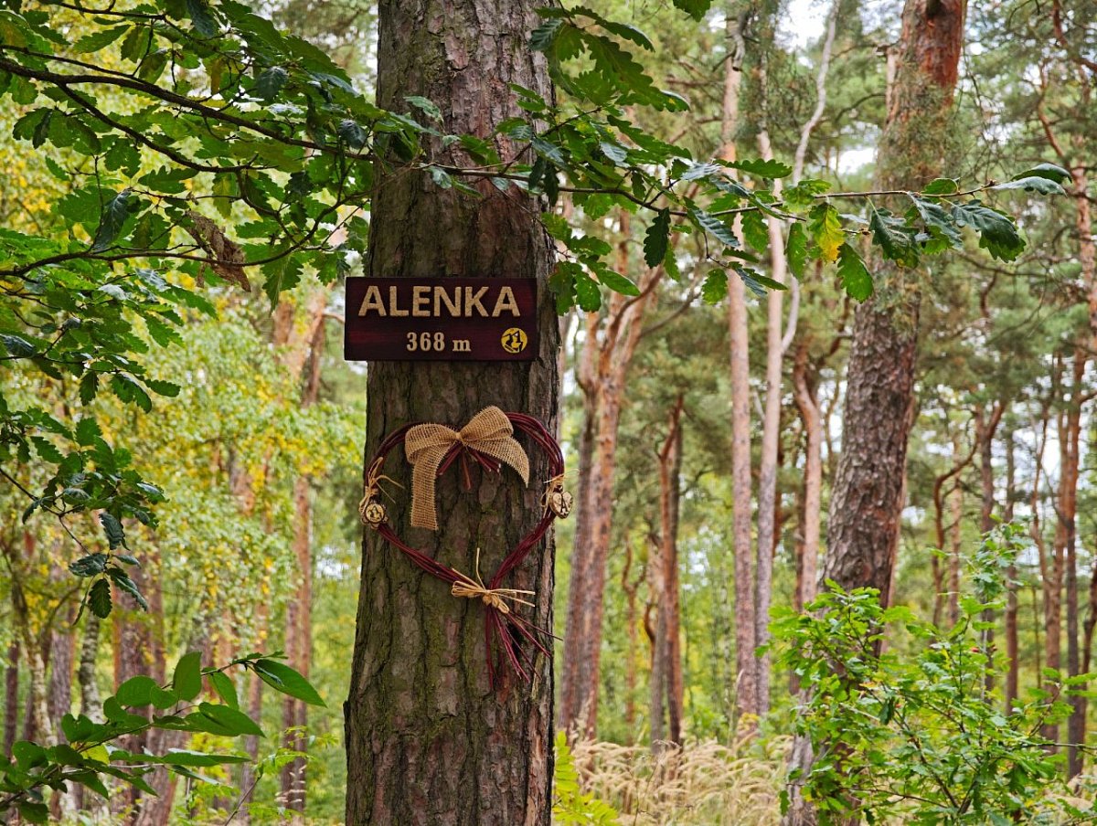 Alenka (368&nbsp;m)