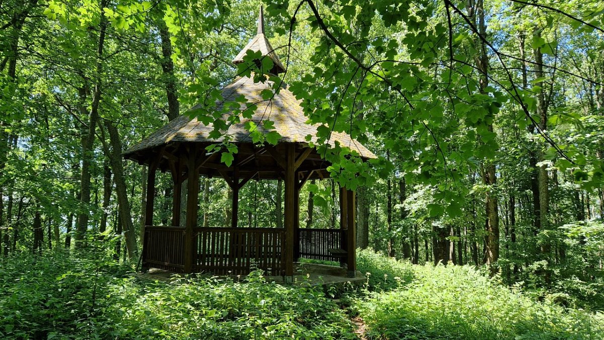 Žižkův vrch (750 m)