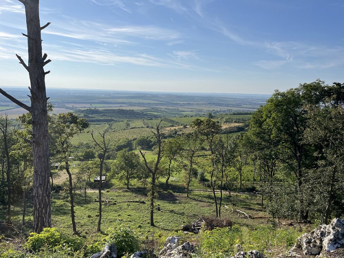 Turold (385 m)