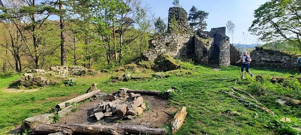 Rychleby - zřícenina