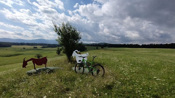 Šibeničník