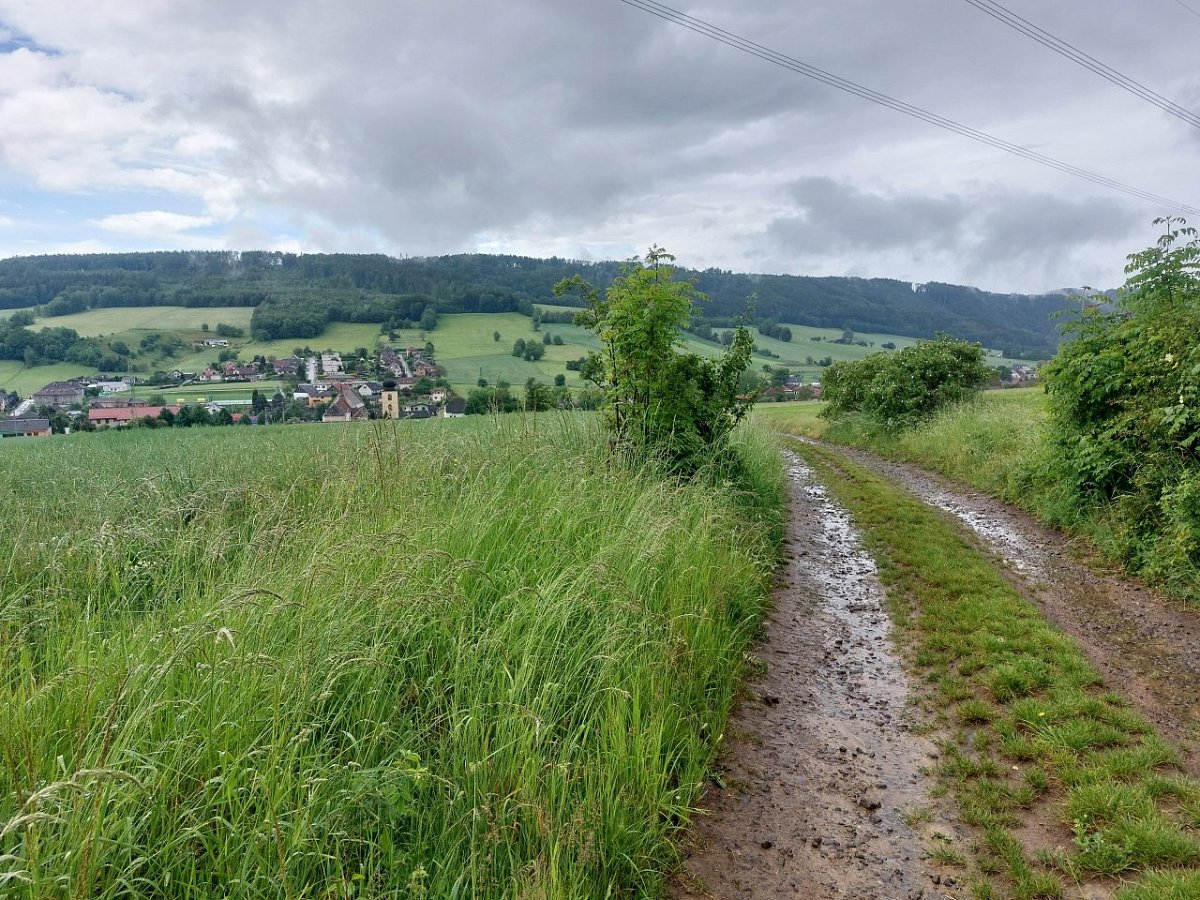 U Třech lip (411 m)