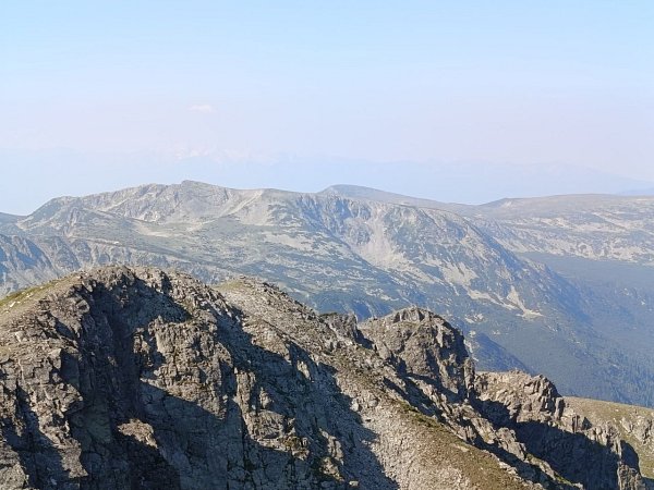 Овчарец