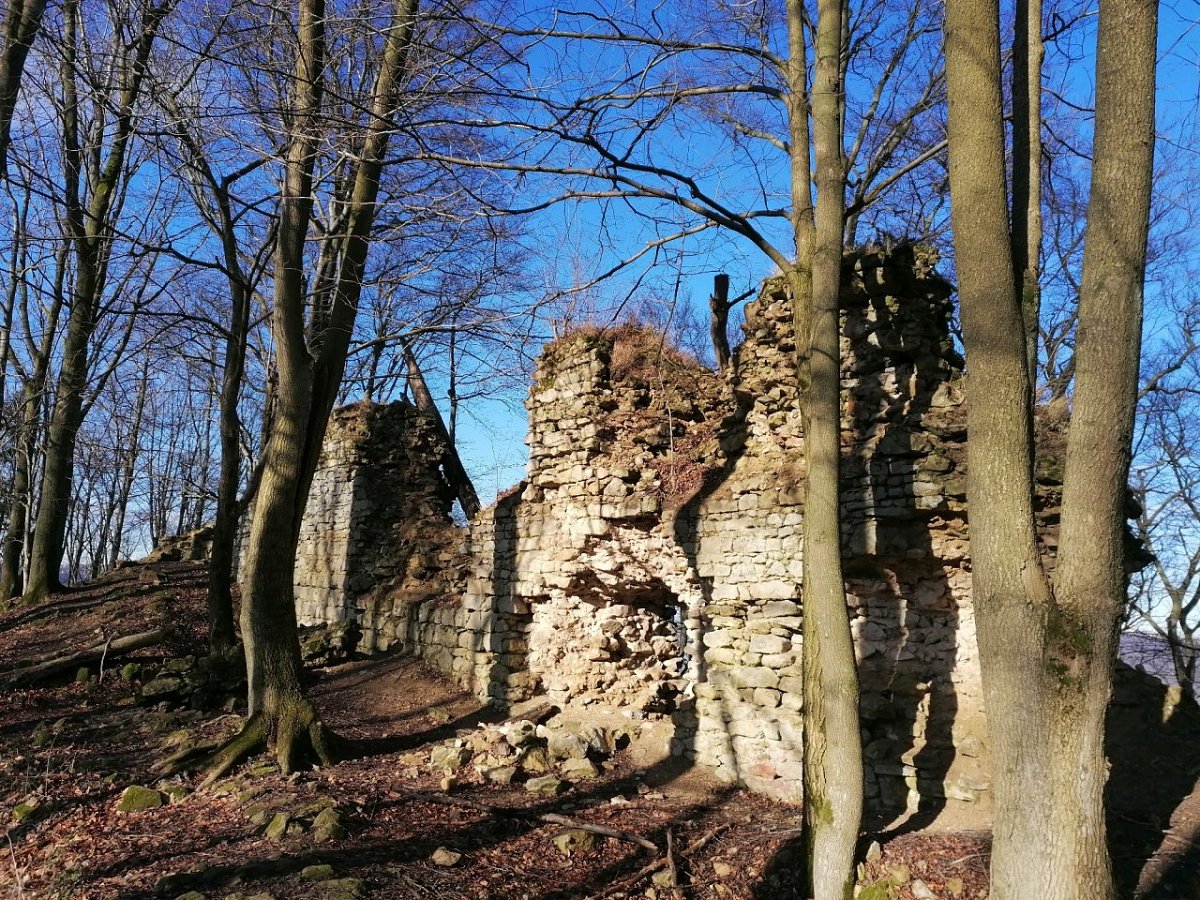 Obřany (704&nbsp;m)