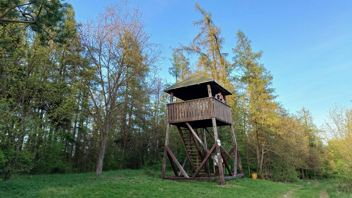 Křivoš (464 m)