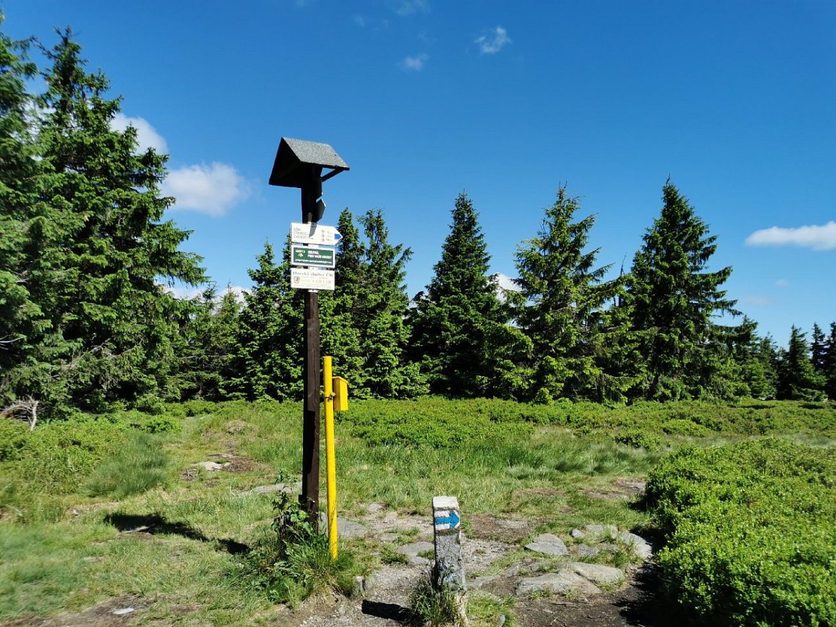 Podbělka (1307 m)