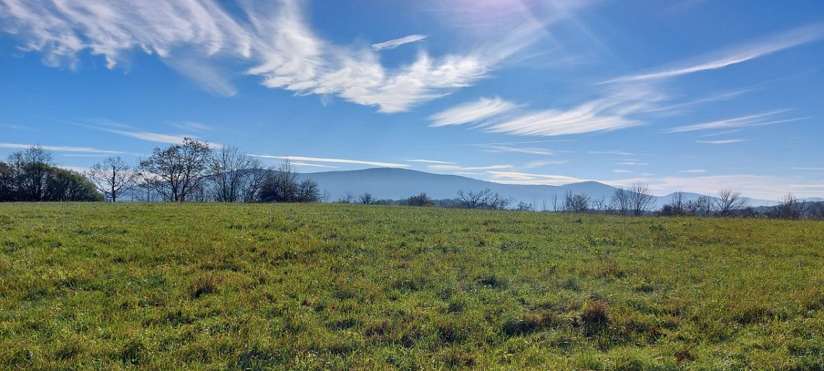 Vápenková skala (467 m)