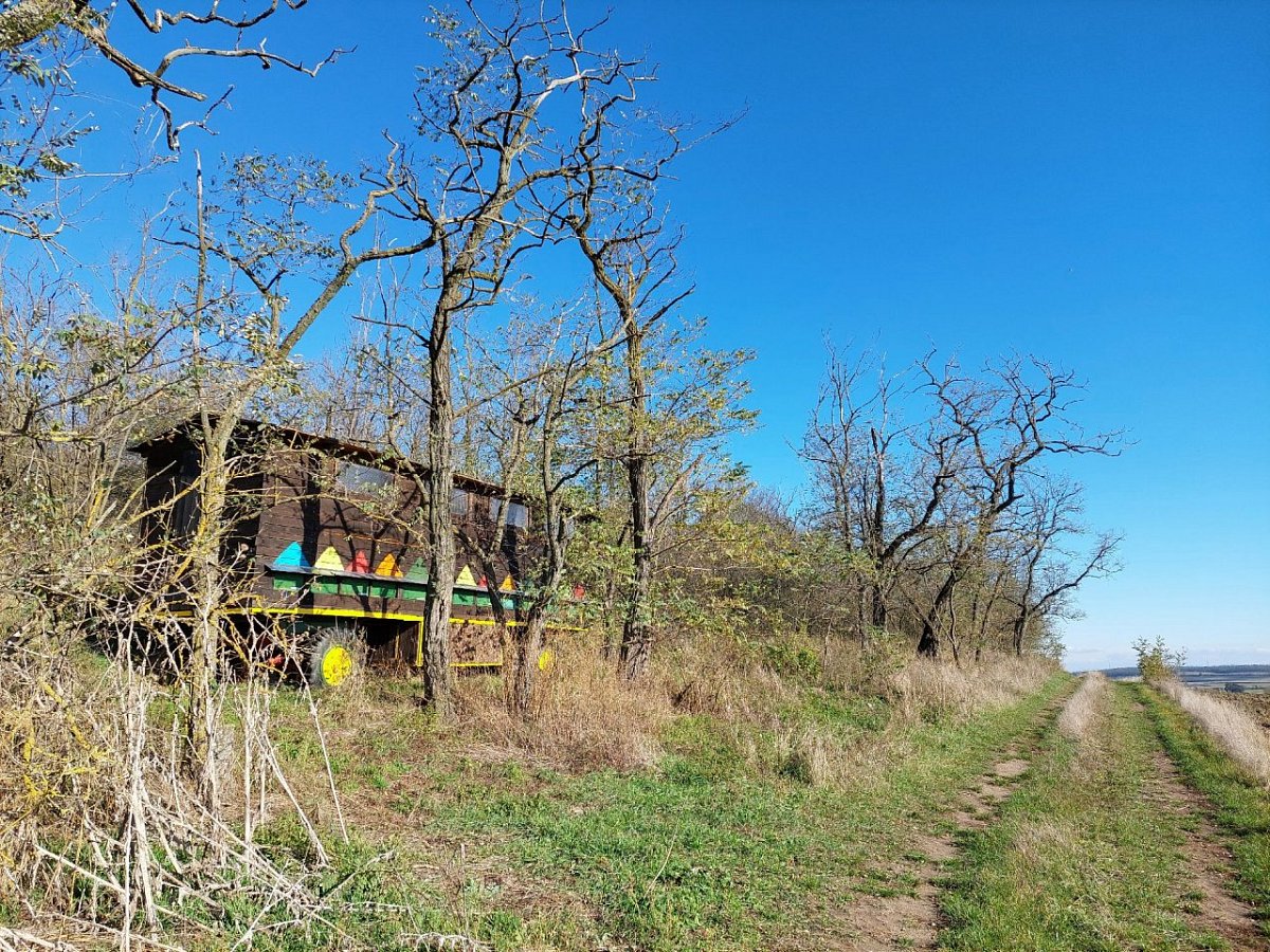 Liščí kopec (232 m)