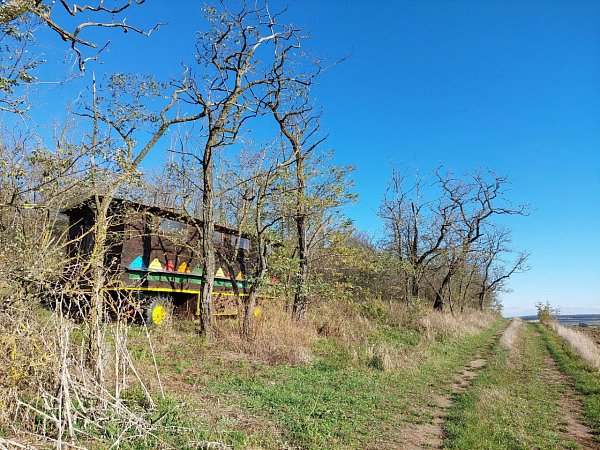 Liščí kopec