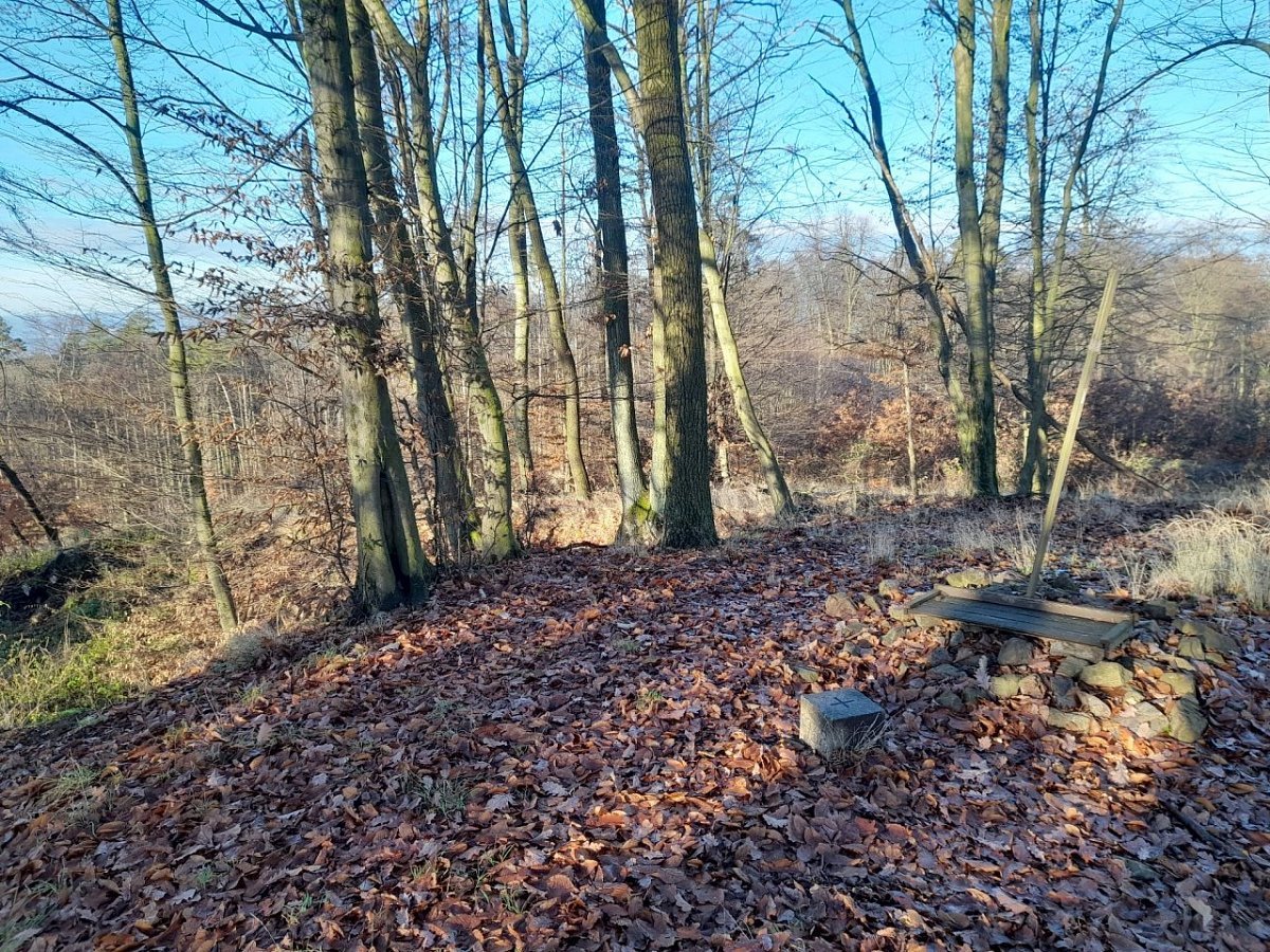 Kopeček (479&nbsp;m)