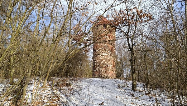 Vochlice