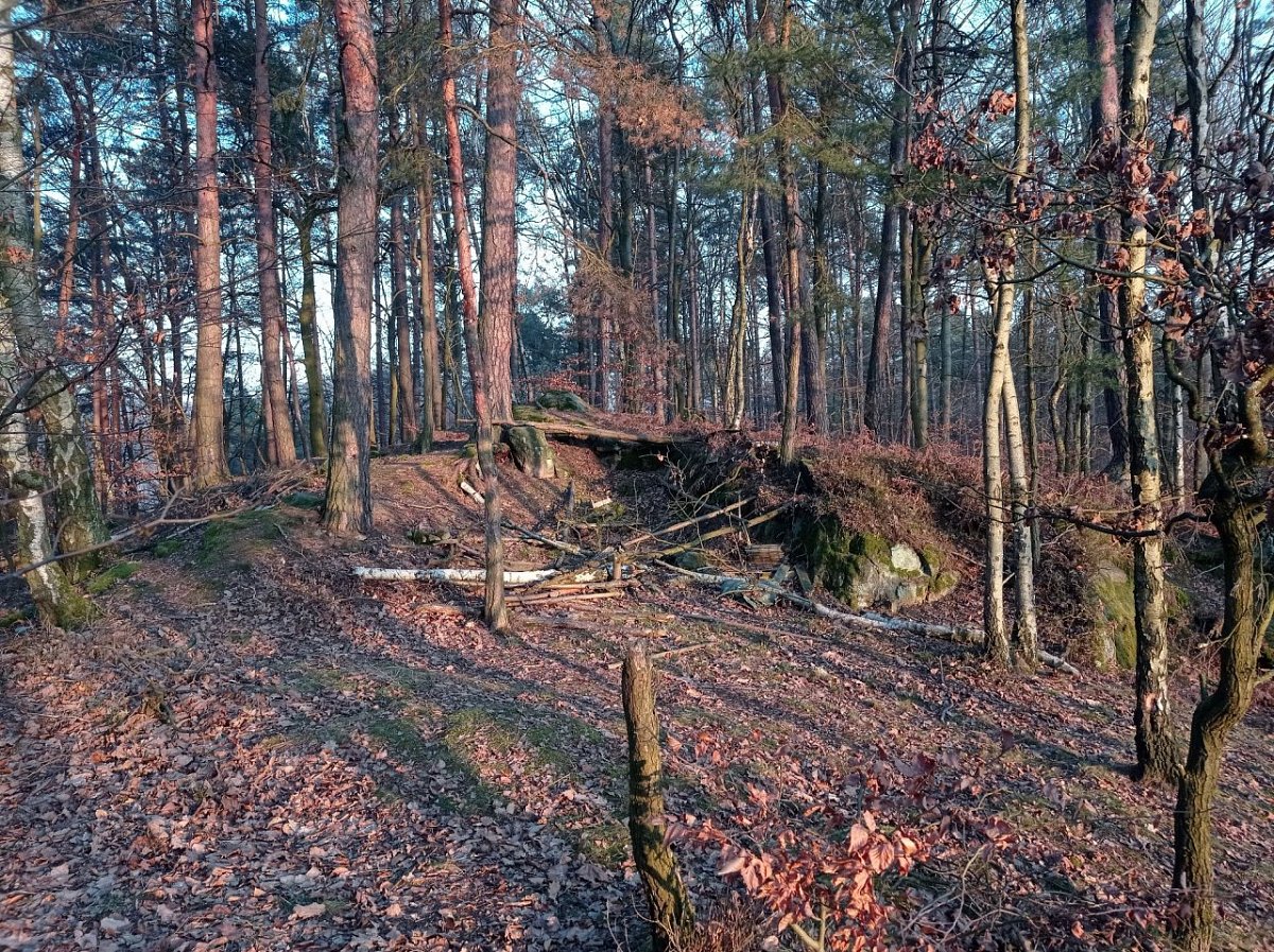 Parlesův vrch (262 m)