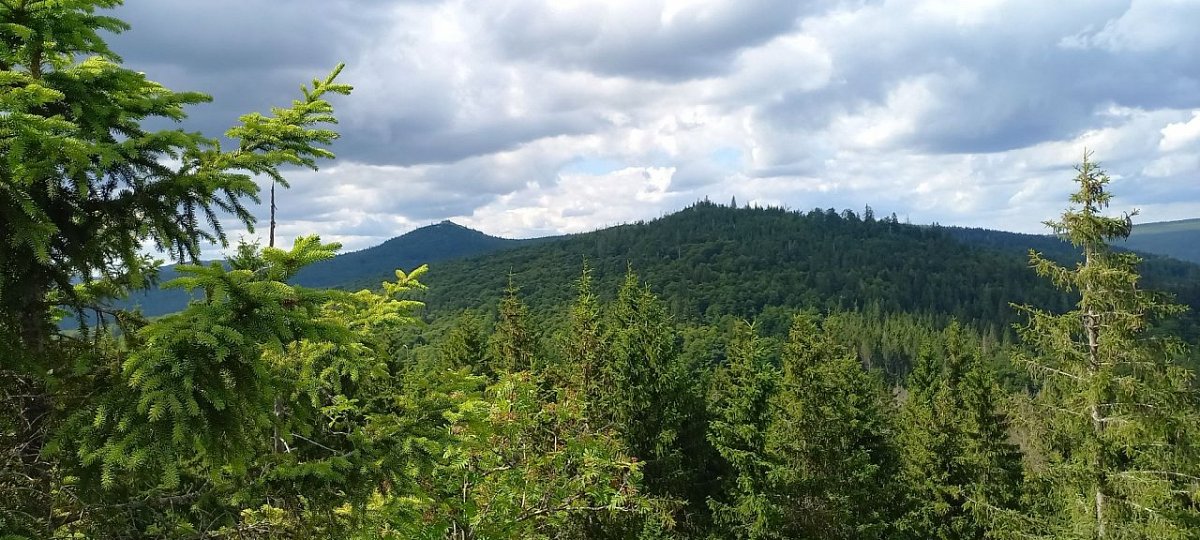 Hohlstein (1196 m)