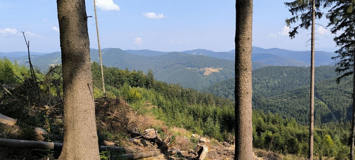 Kopšovec (886 m)