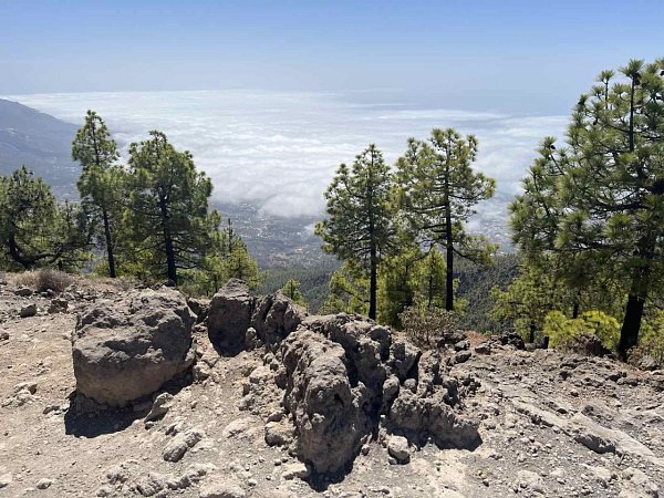 Pico Bejenado