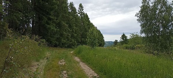 Jaseňovo