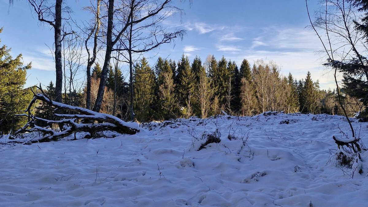 Eliška (753 m)