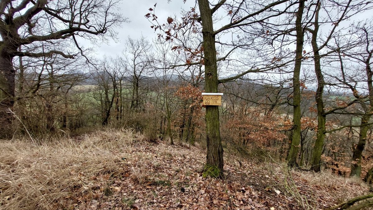 Kakoš (394 m)