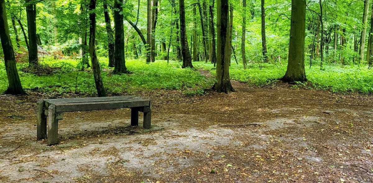 Landek (279&nbsp;m)