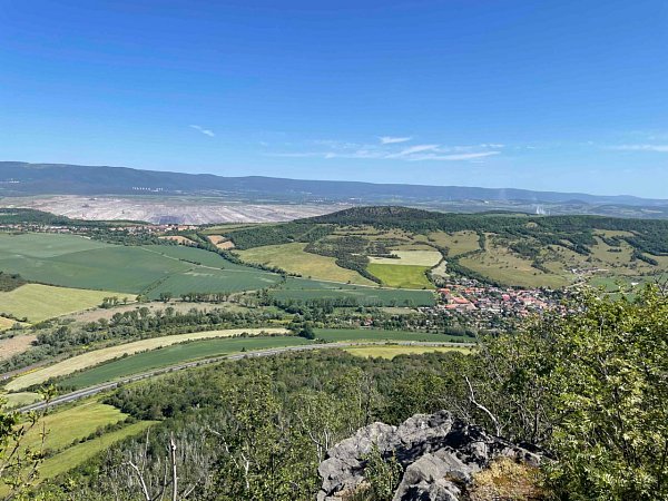 Zlatník