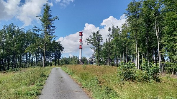 Slunečná