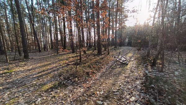 Torovka