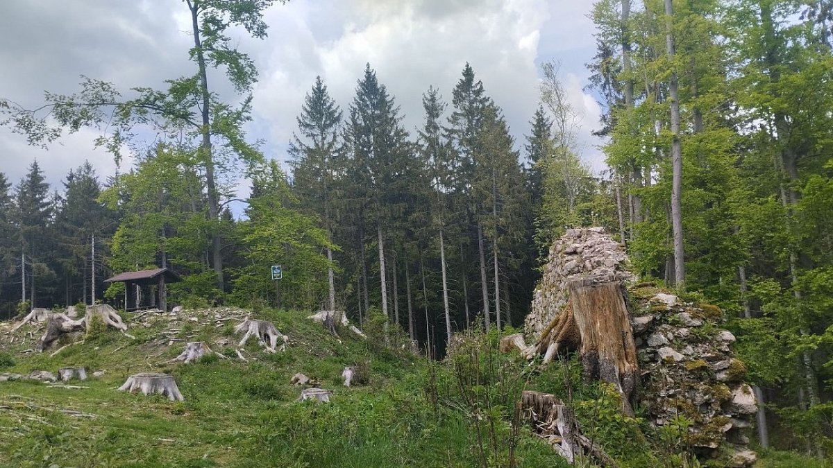 Kynžvart - zřícenina hradu (824 m)