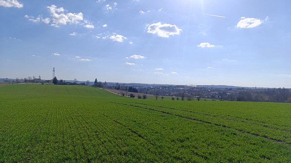 Dobrý ročník