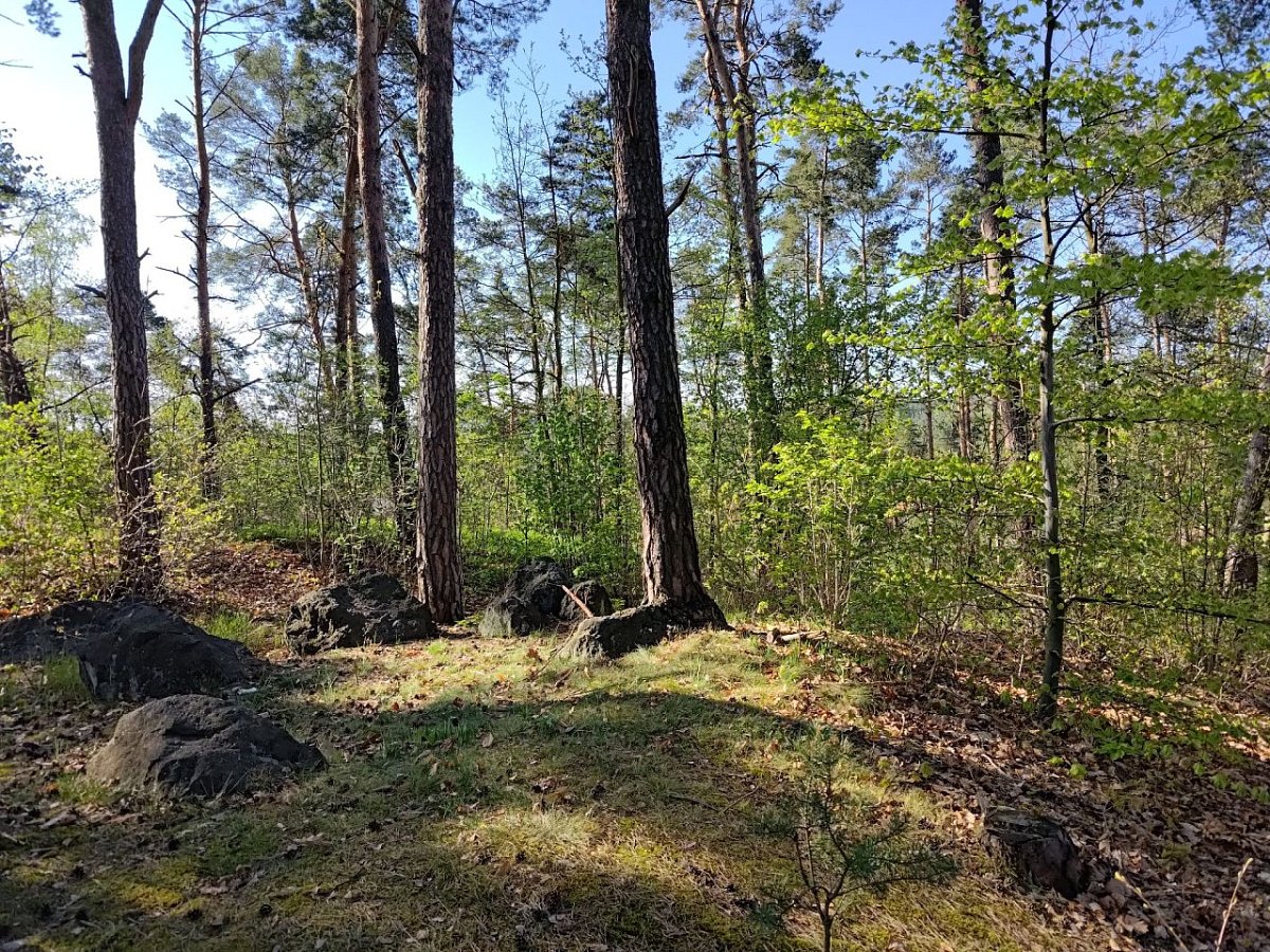 Drážeň (295 m)