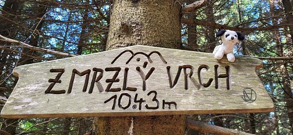 Zmrzlý vrch
