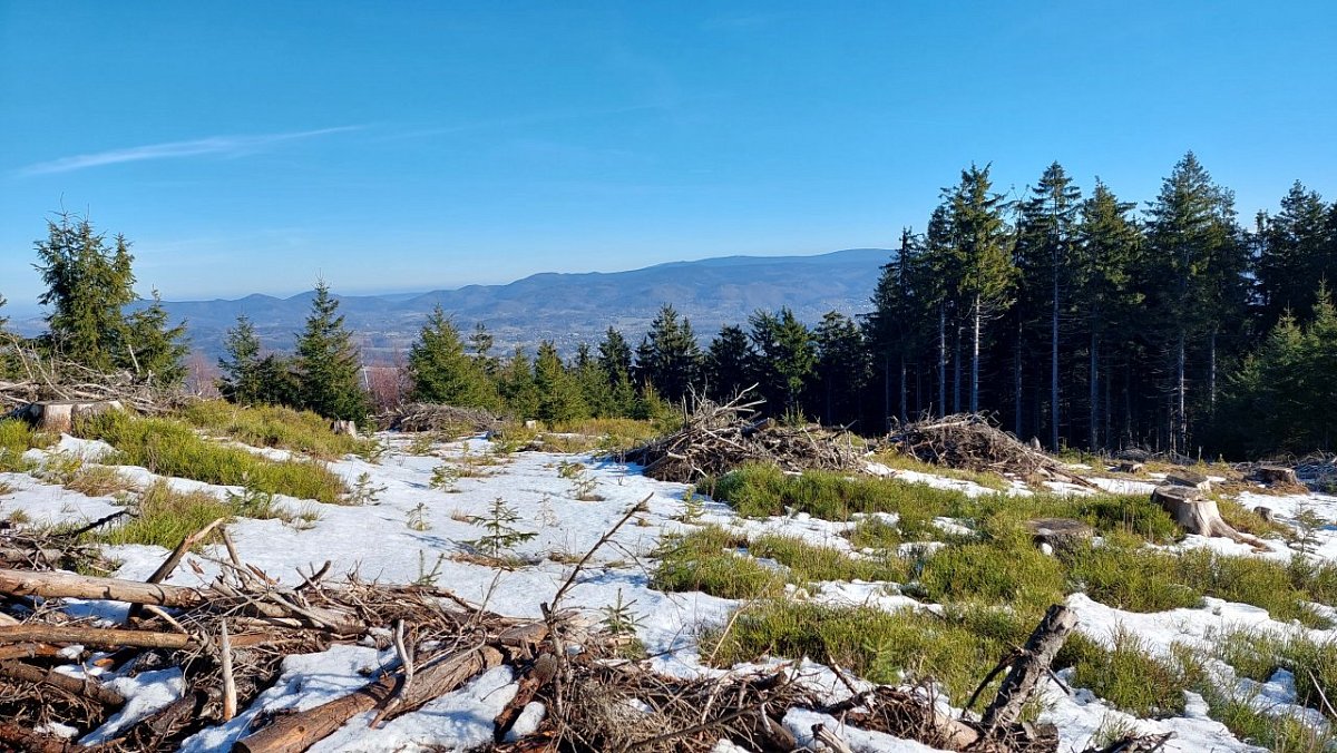 Ptačí kameny (750&nbsp;m)