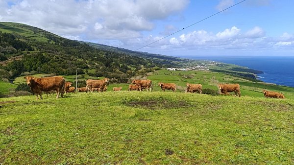 Lomba dos Espalhafatos