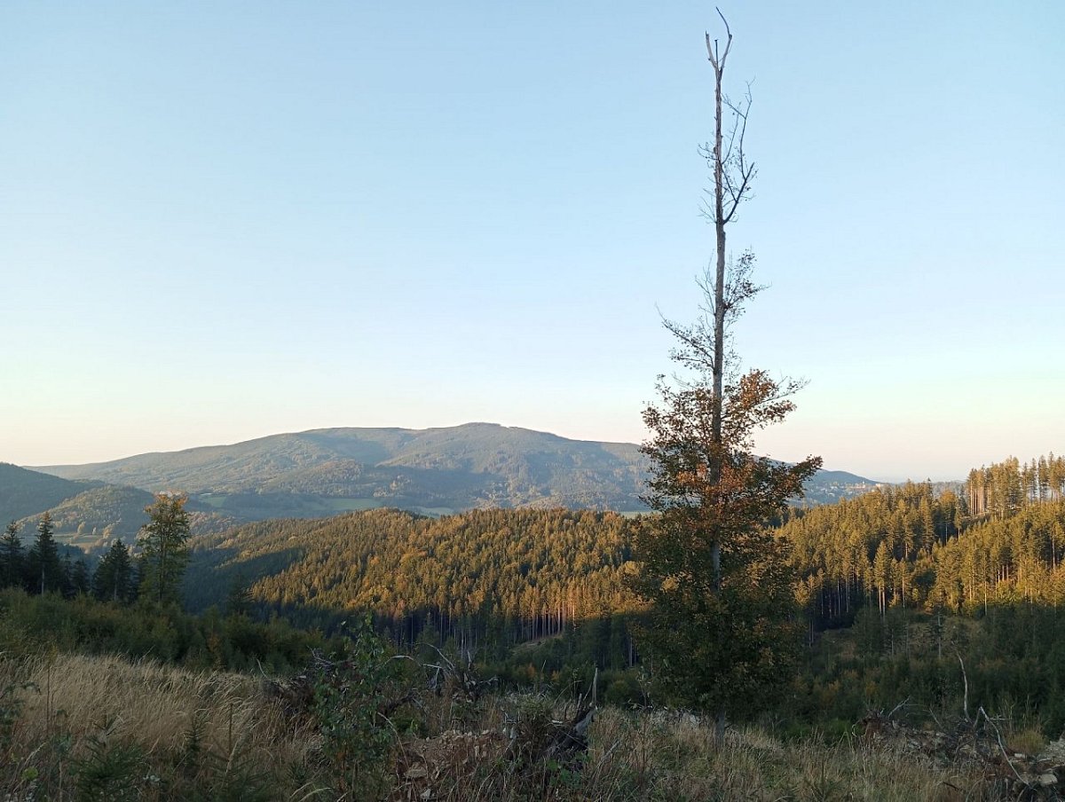 Javořík (772&nbsp;m)