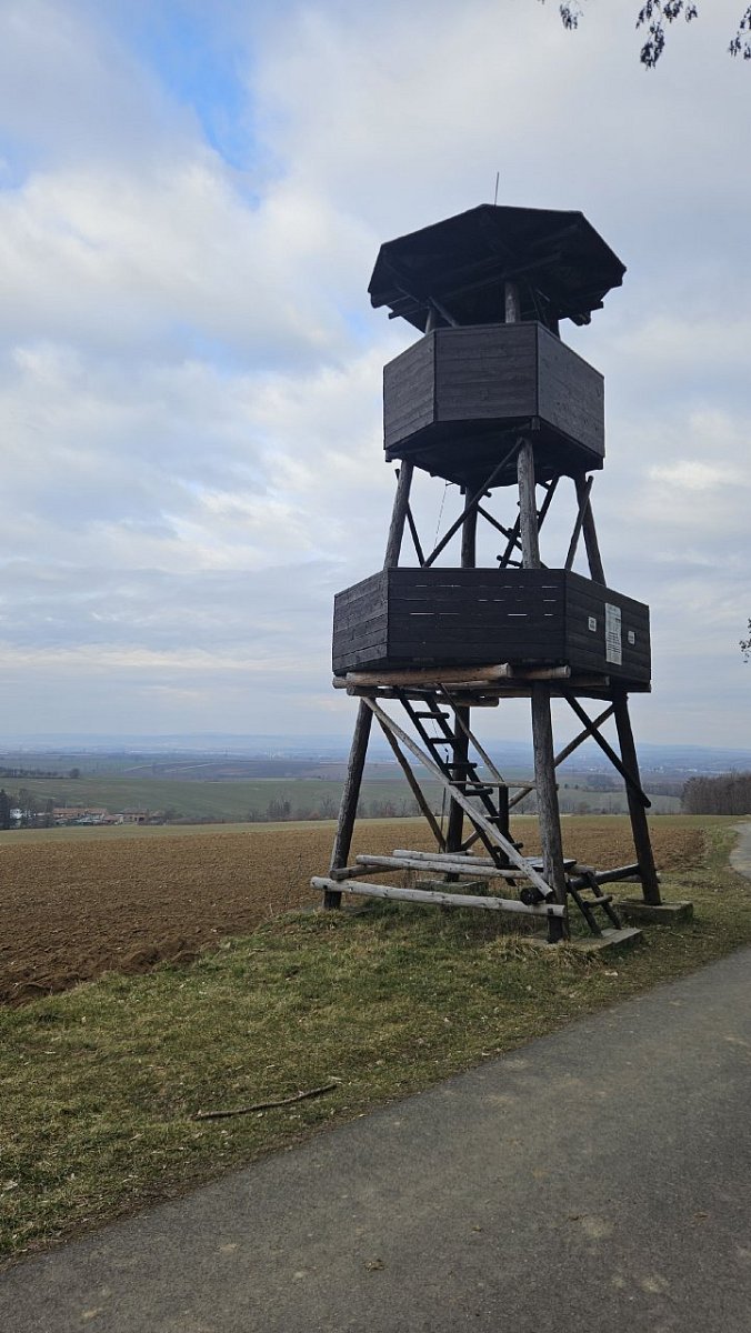 Vitčický les (309 m)