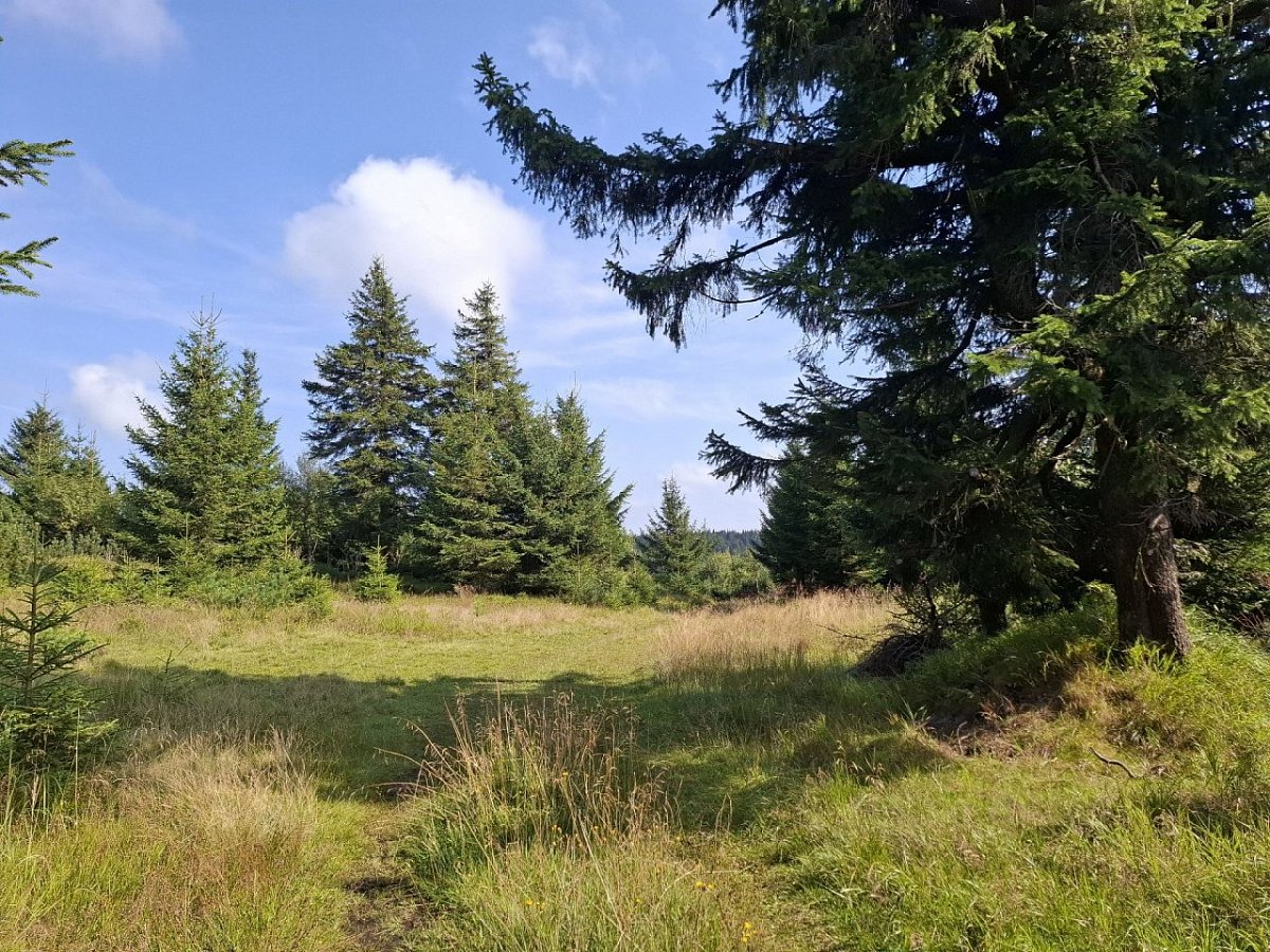 Jelenka (1083 m)
