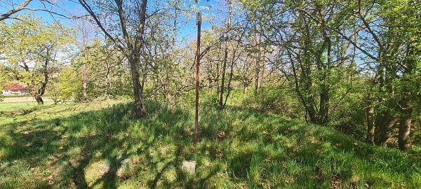 Vorpil