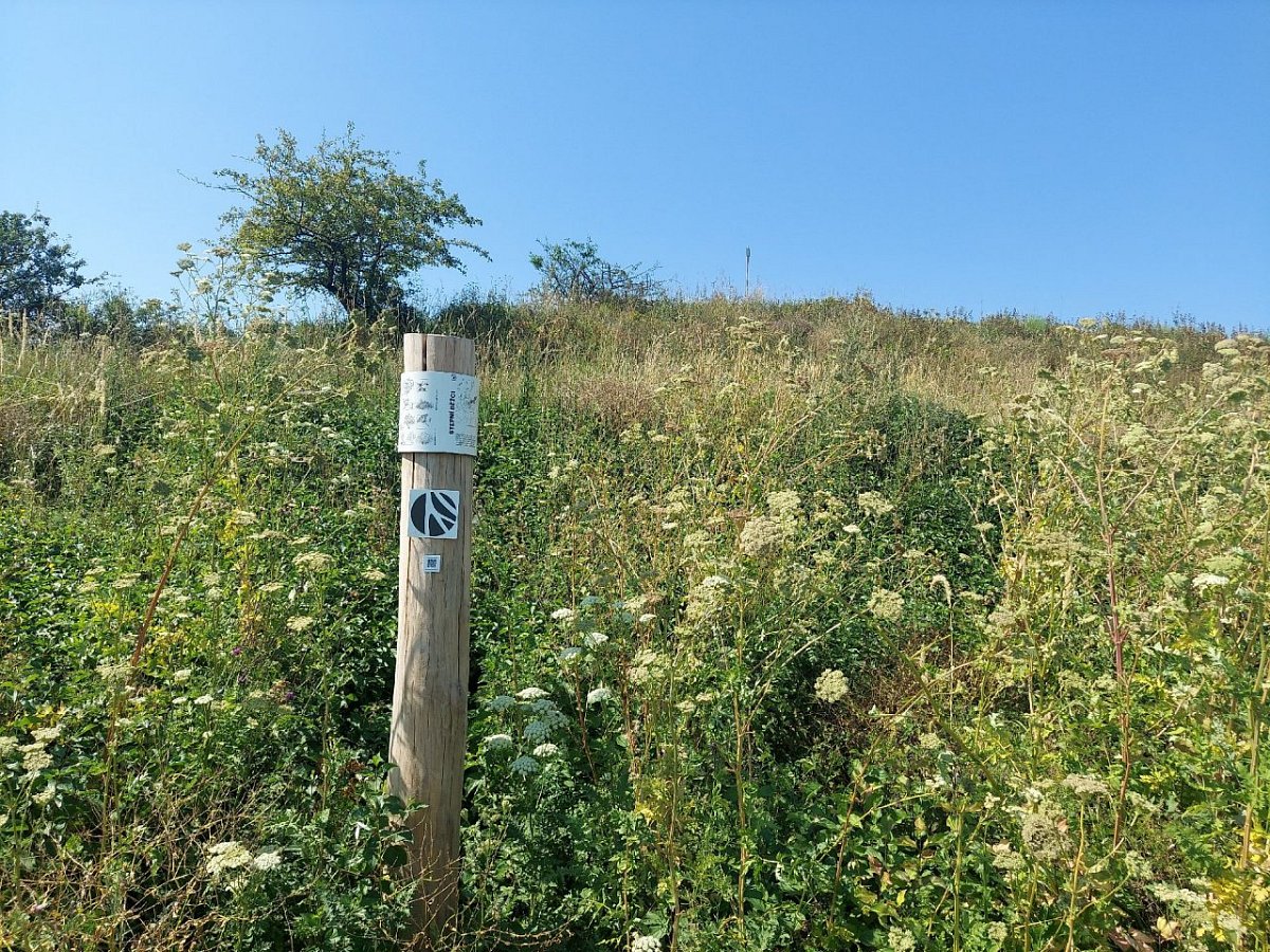 Jánská hora (281 m)