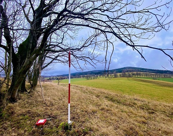 Vášeň