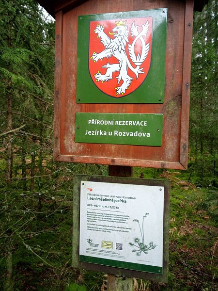 U jezírka