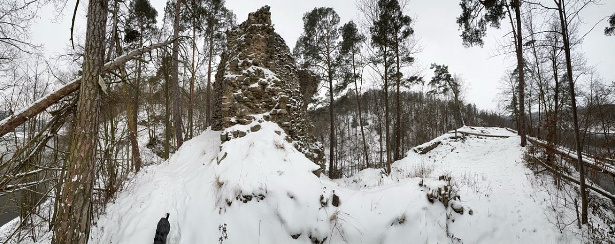 Holoubek - zřícenina hradu (384&nbsp;m)
