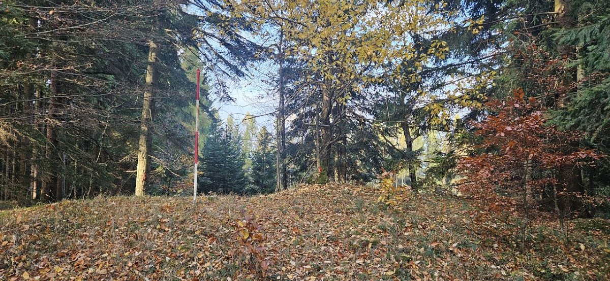 Koncová (895 m)