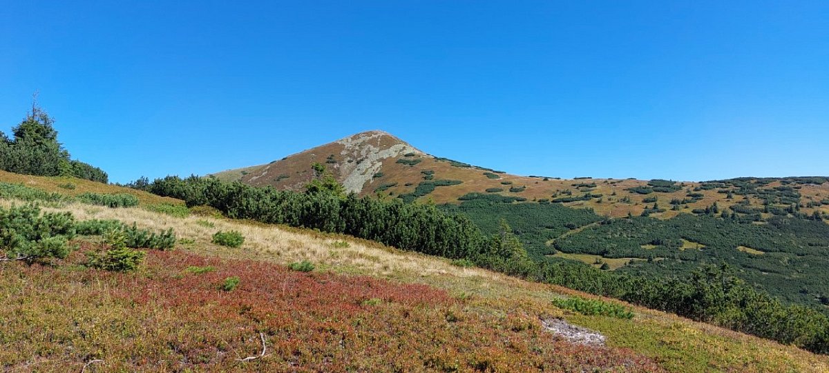 Meškalka (1536&nbsp;m)