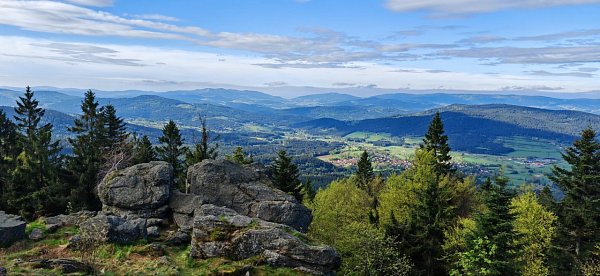 Mühlriegel