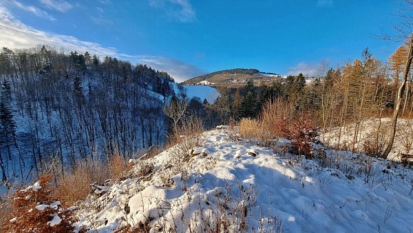 Jelenka