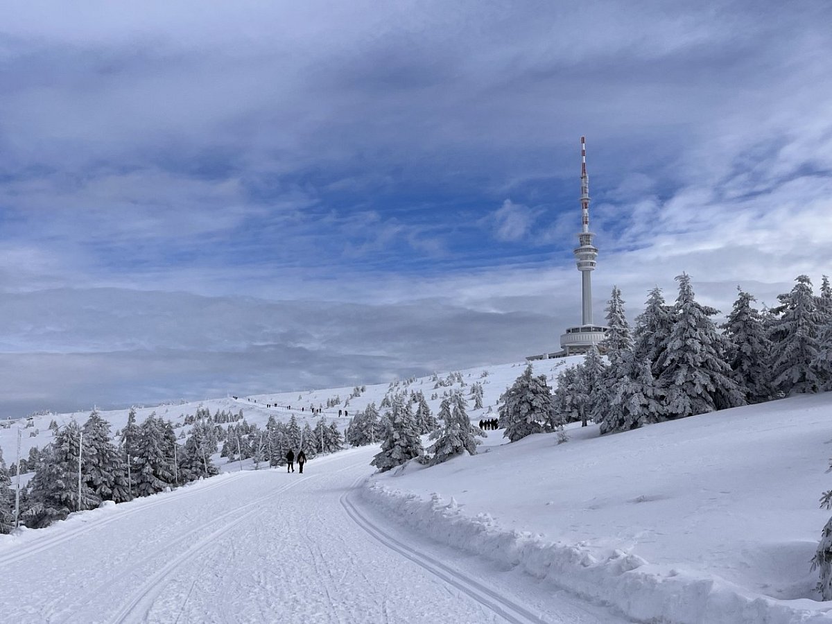 Praděd (1491 m)