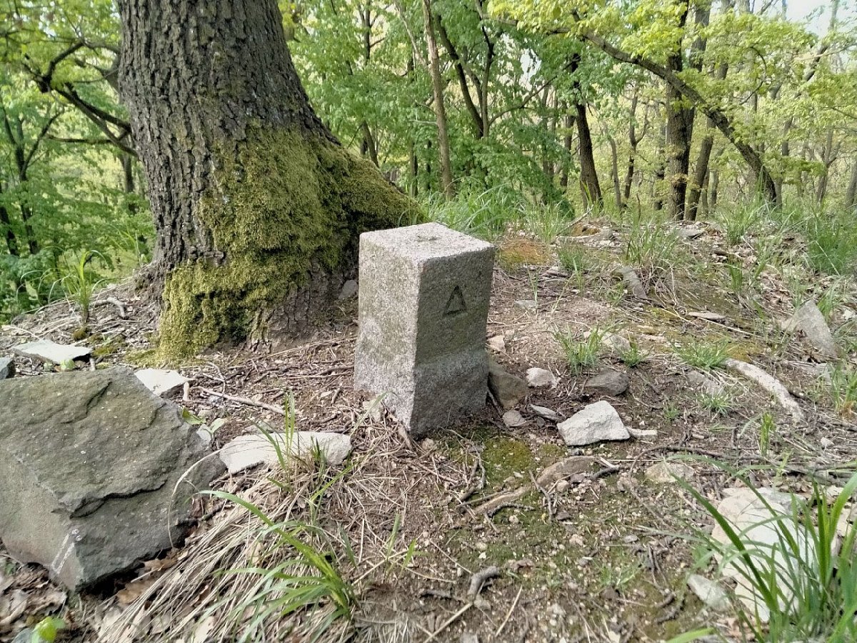 Žimský vrch (520 m)