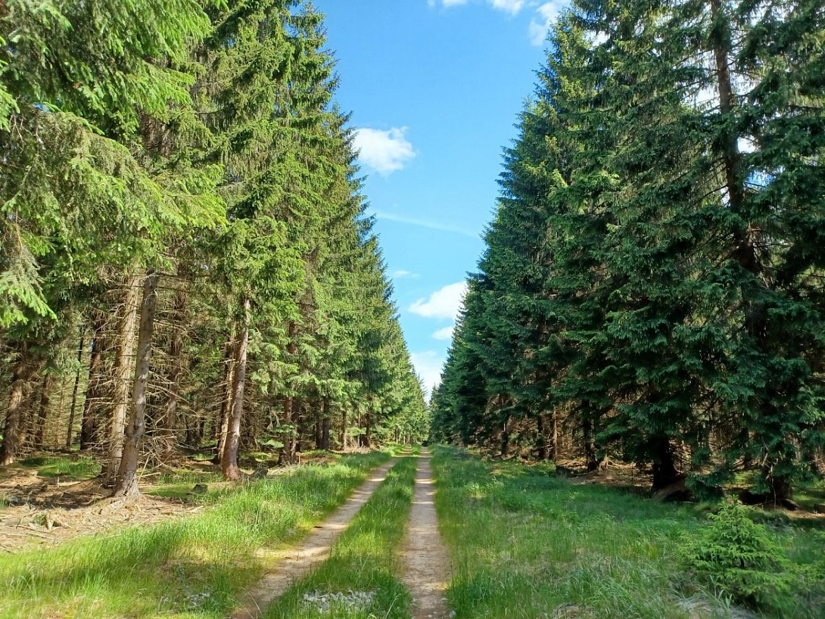 Milíř (834 m)